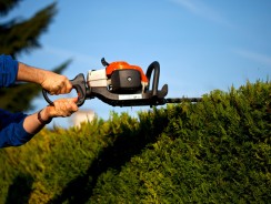 Les bons gestes pour tailler sa haie bien droit